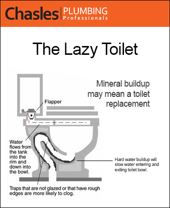 Lazy Toilet